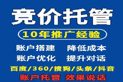 竞价推广公司的策略布局：某行业领导品牌的成功案例